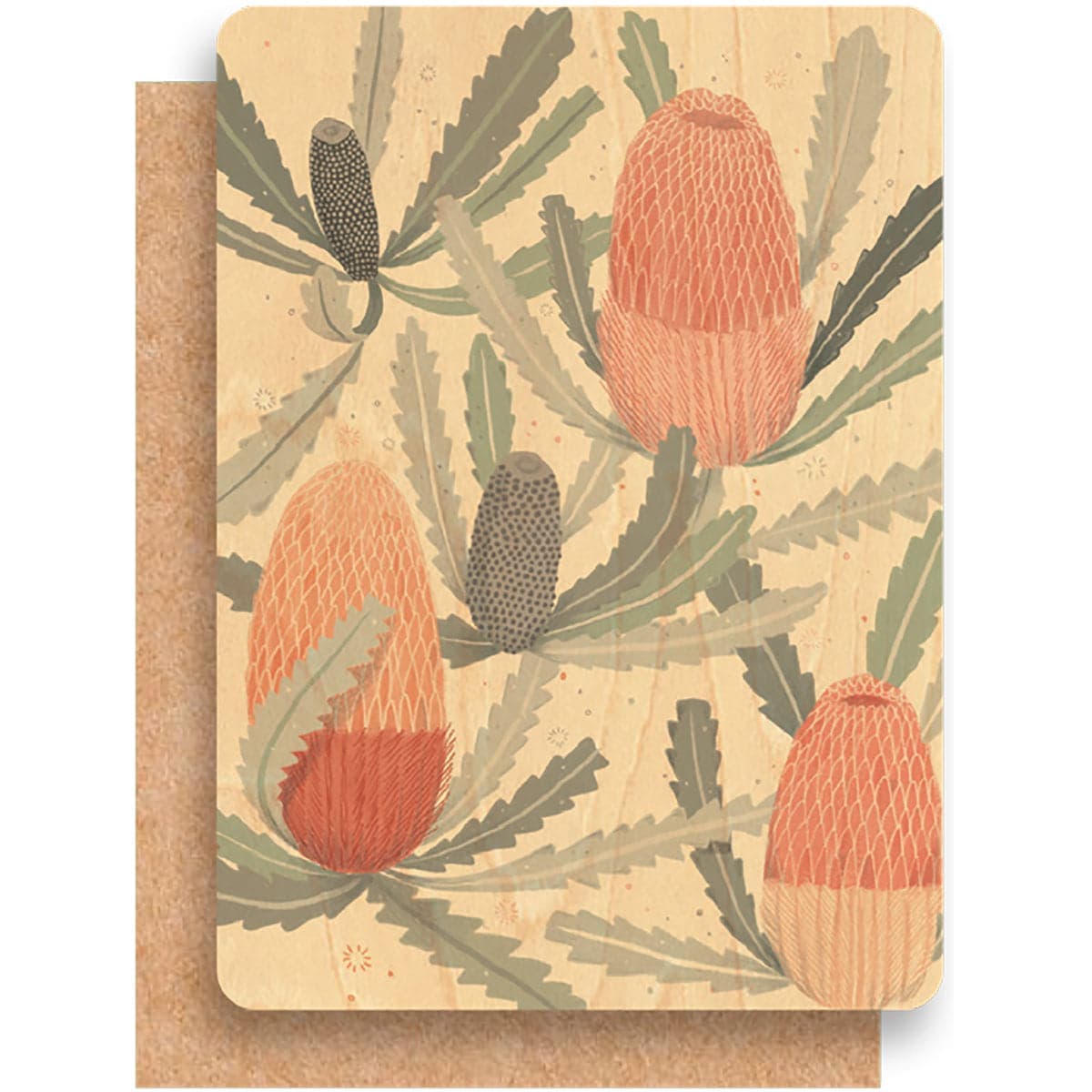 Greenigo Daniella Germain A6 Wood Greeting Card with a premium C6 envelope Bushy Banksia